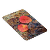 Herbstblatt auf Felsen, Kalifornien Magnet (Rechte Seite)