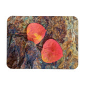 Herbstblatt auf Felsen, Kalifornien Magnet (Horizontal)
