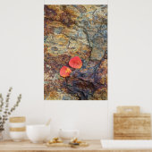 Herbstblatt auf Felsen, Kalifornien Poster (Küche)