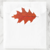 Herbstblatt aus Roteiche Ovaler Aufkleber (Tasche)