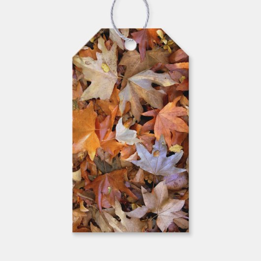 Herbstblatt Geschenkanhänger (Vorderseite)