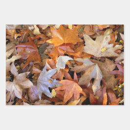 Herbstblatt Geschenkpapier Set