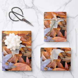 Herbstblatt Geschenkpapier Set