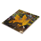 Herbstblatt in der Sonne Fliese (Seite)