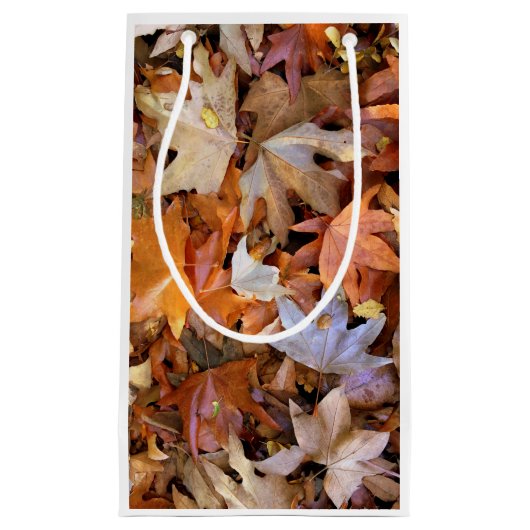 Herbstblatt Kleine Geschenktüte (Vorderseite)