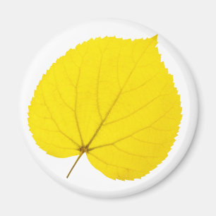 Herbstblatt Magnet