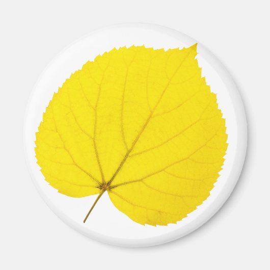 Herbstblatt Magnet (Vorne)