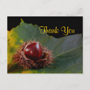 Herbstblatt mit Nuss Danke Postkarte