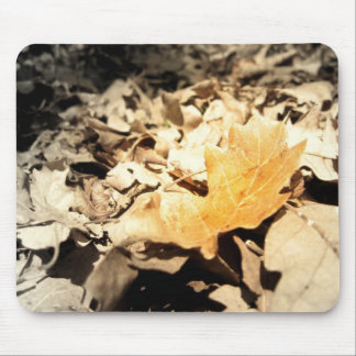 Herbstblatt Mousepad