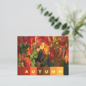 Herbstblatt Postkarte (Stehend Vorderseite)