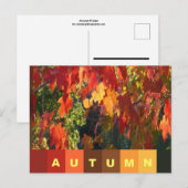 Herbstblatt Postkarte (Vorne/Hinten)