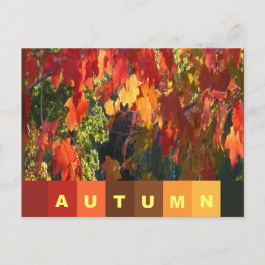 Herbstblatt Postkarte (Vorderseite)