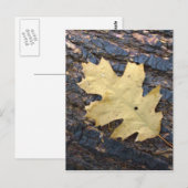 Herbstblatt Postkarte (Vorne/Hinten)
