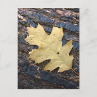 Herbstblatt