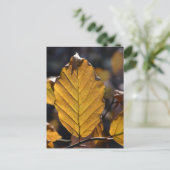 Herbstblatt Postkarte (Stehend Vorderseite)