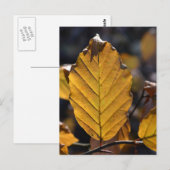 Herbstblatt Postkarte (Vorne/Hinten)