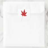 Herbstblatt Roter Single Quadratischer Aufkleber (Tasche)