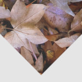 Herbstblatt Seidenpapier (Detail)