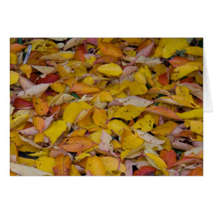 Herbstblätter