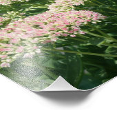 Herbstblätter 10x8 Nahe Blume Fotodruck (Ecke)