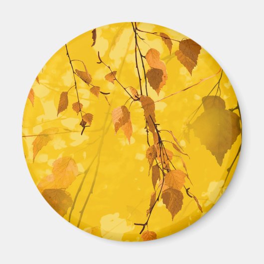 Herbstblätter 3 magnet (Vorne)