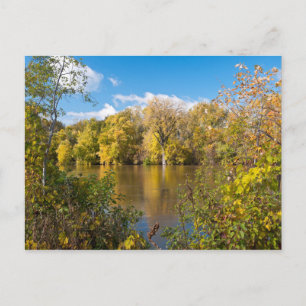 Herbstblätter am Minnesota-Fluss Postkarte