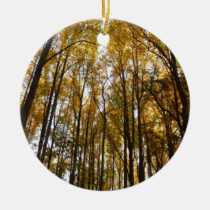 Herbstblätter am Morgen Maryland Natur Keramik Ornament