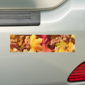 Herbstblätter - Atemberaubend! Autoaufkleber (Auf Auto)