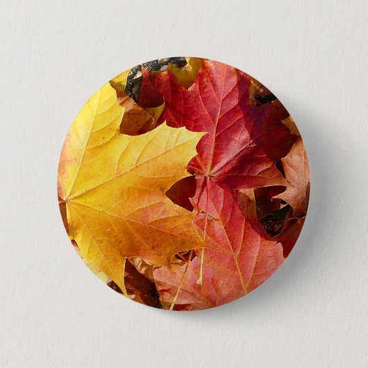 Herbstblätter - Atemberaubend! Button (Vorderseite)