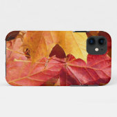 Herbstblätter - Atemberaubend! Case-Mate iPhone Hülle (Rückseite (Horizontal))
