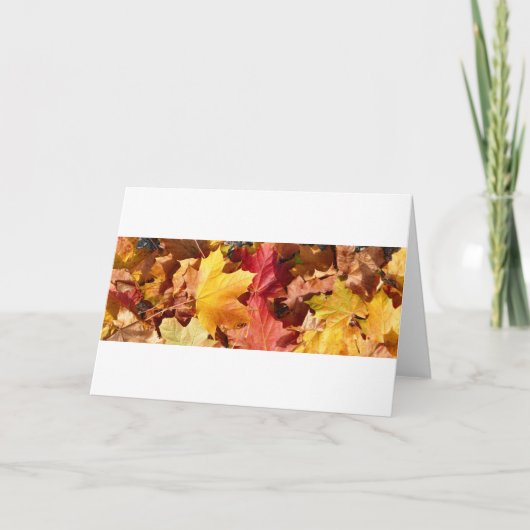 Herbstblätter - Atemberaubend! Feiertagskarte (Vorderseite)