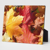 Herbstblätter - Atemberaubend! Fotoplatte (Seite)