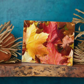 Herbstblätter - Atemberaubend! Fotoplatte (Seite)