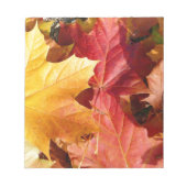 Herbstblätter - Atemberaubend! Notizblock (Vorderseite)