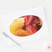 Herbstblätter - Atemberaubend! Ovaler Aufkleber (Umschlag)