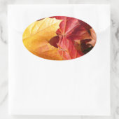 Herbstblätter - Atemberaubend! Ovaler Aufkleber (Tasche)