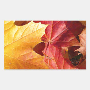 Herbstblätter - Atemberaubend! Rechteckiger Aufkleber