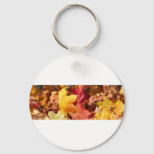 Herbstblätter - Atemberaubend! Schlüsselanhänger (Vorderseite)