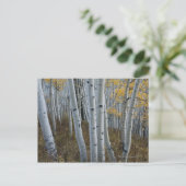 Herbstblätter auf Bäumen im Wald Postkarte (Stehend Vorderseite)