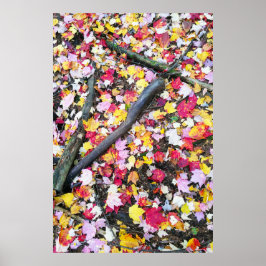 Herbstblätter auf dem Boden Poster