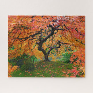 Herbstblätter auf dem japanischen Gartenapfel in P Puzzle