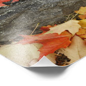 Herbstblätter auf Steinmauer, Minute Man Fotodruck (Ecke)