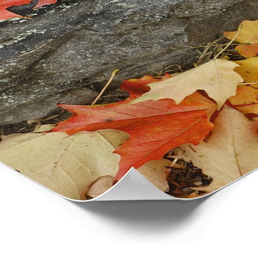 Herbstblätter auf Steinmauer, Minute Man Poster (Ecke)