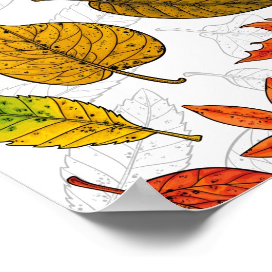 Herbstblätter auf weiß poster (Ecke)