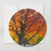 Herbstblätter aus Gelb und Orange Einladung (Vorderseite)