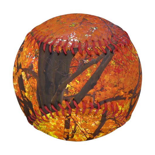 Herbstblätter aus Gelb- und Orangenbäumen, Foto Baseball (Rückseite)