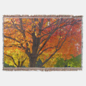 Herbstblätter aus Gelb- und Orangenbäumen, Foto Decke (Vorderseite)