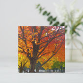 Herbstblätter aus Gelb- und Orangenbäumen, Foto Einladung (Stehend Vorderseite)