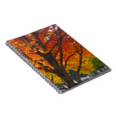 Herbstblätter aus Gelb- und Orangenbäumen, Foto Notizblock (Rechte Seite)