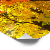 Herbstblätter aus Gelb- und Orangenbäumen, Foto Poster (Ecke)